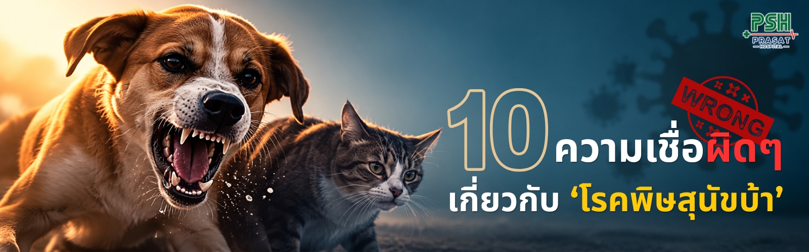 รู้ไว้ก่อนสาย : 10 ความเชื่อผิด ๆ เกี่ยวกับโรคพิษสุนัขบ้า